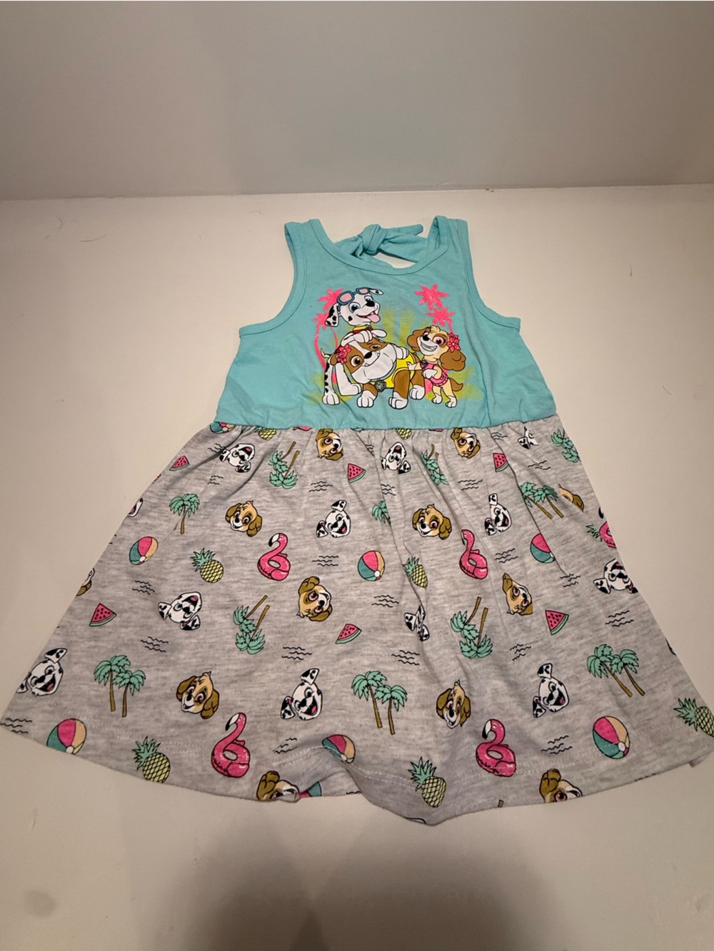 Paw Patrol NWT Dress 2T
